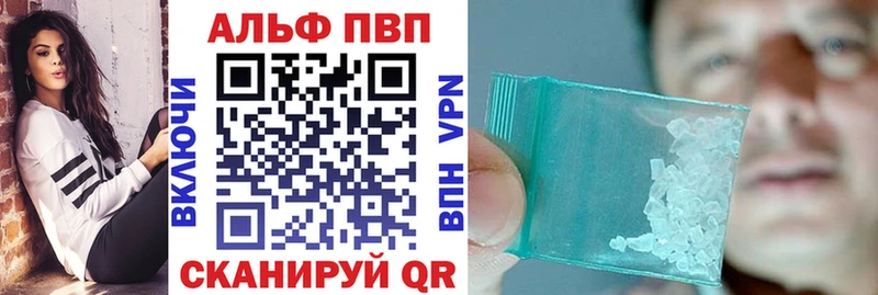 A-PVP СК  Архангельск 