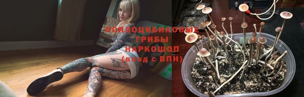 крисы Верхний Тагил