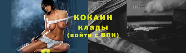 крисы Верхний Тагил