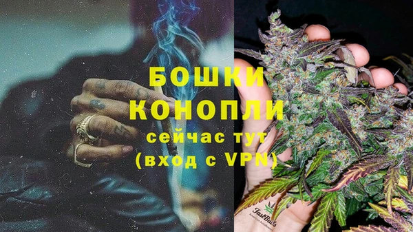 крисы Верхний Тагил