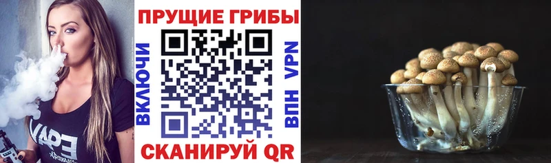 закладка  Архангельск  Галлюциногенные грибы прущие грибы 